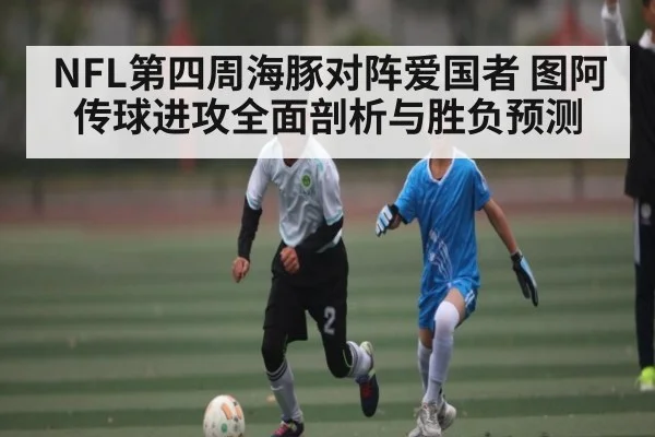NFL第四周海豚对阵爱国者 图阿传球进攻全面剖析与胜负预测
